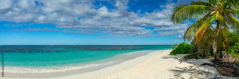 Palm tree in Shoal Bay beach, Caribbean dream landscape in Anguilla island, British West Indies panoramic web banner