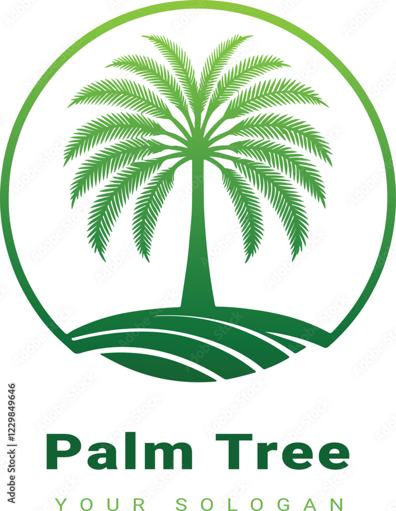 Fototapeta premium Vector beautiful palm tree design with white background 