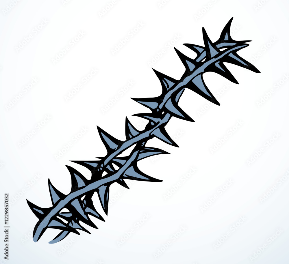 Vector drawing. Big thorn branch Vector drawing. Big thorn branch