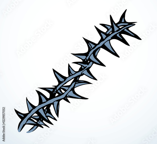 Vector drawing. Big thorn branch
