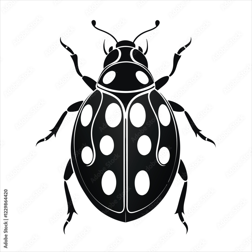 ladybug vector design with white background ladybug vector design with white background