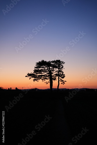 夕焼けのシルエット