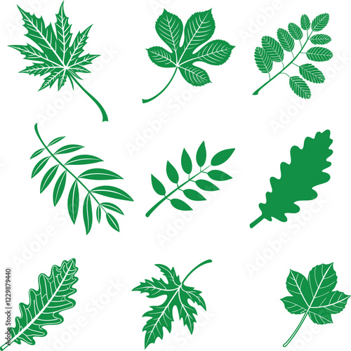  leaf icons set