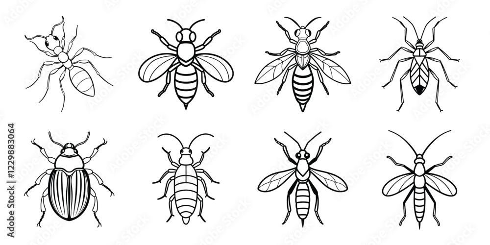 Insects liner art set. Vector illustrations poisonous insects isolated on white background Insects liner art set. Vector illustrations poisonous insects isolated on white background