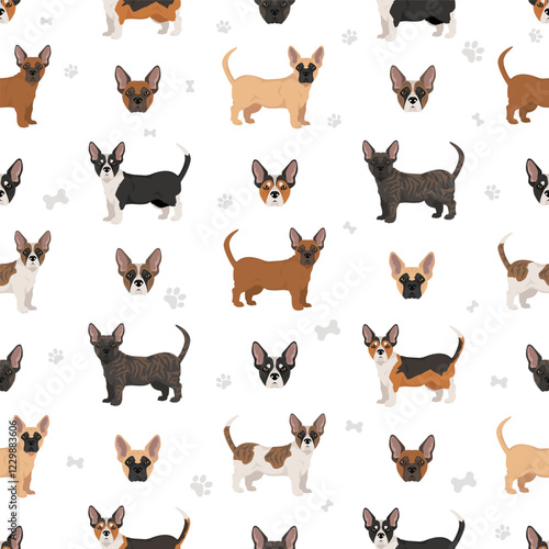 French Bulldog Corgi clipart. French Bulldog - Welsh Corgi mix. All possible coat colors, breed information, adults and puppies.  Vector illustration photo