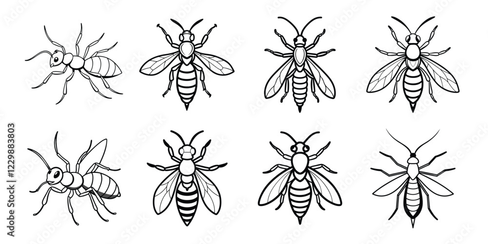 Insects liner art set. Vector illustrations poisonous insects isolated on white background Insects liner art set. Vector illustrations poisonous insects isolated on white background