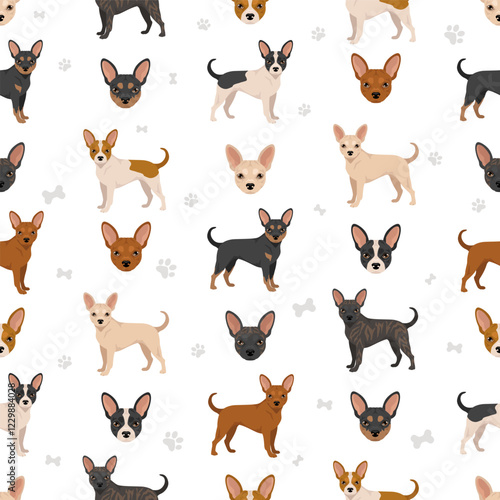 French Bullhuahua clipart. French Bulldog - Chihuahua mix. All possible coat colors, breed information, adults and puppies.  Vector illustration