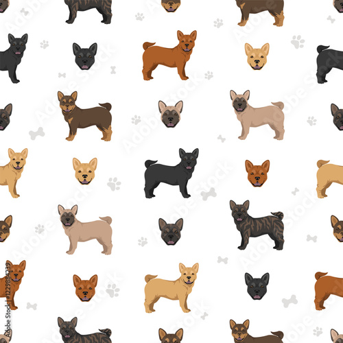 French chow dog clipart. French Bulldog - Chow chow mix. All possible coat colors, breed information, adults and puppies.  Vector illustration