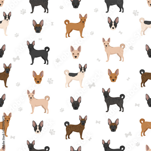 Frenchie Labrador clipart. French Bulldog - Labrador Retriever mix. All possible coat colors, breed information, adults and puppies.  Vector illustration