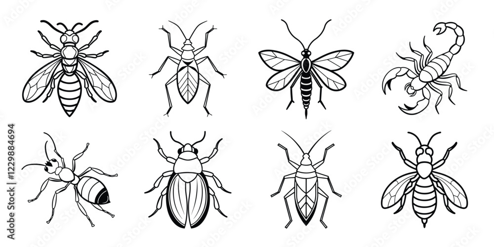 Insects liner art set. Vector illustrations poisonous insects isolated on white background Insects liner art set. Vector illustrations poisonous insects isolated on white background