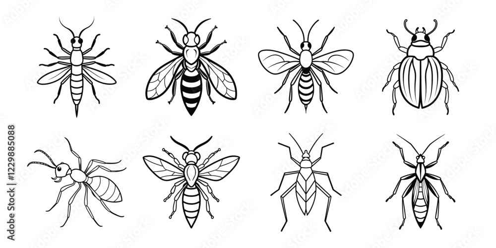 Insects liner art set. Vector illustrations poisonous insects isolated on white background Insects liner art set. Vector illustrations poisonous insects isolated on white background
