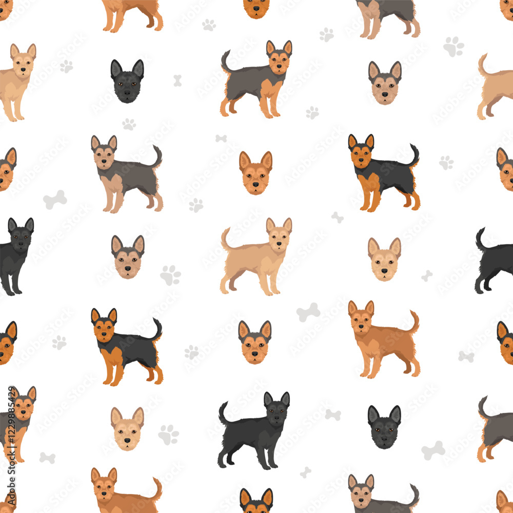 Fototapeta premium Frorkie clipart. French Bulldog - Yorkshire Terrier mix. All possible coat colors, breed information, adults and puppies. Vector illustration
