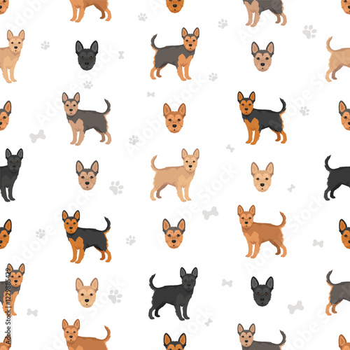 Frorkie clipart. French Bulldog - Yorkshire Terrier mix. All possible coat colors, breed information, adults and puppies.  Vector illustration