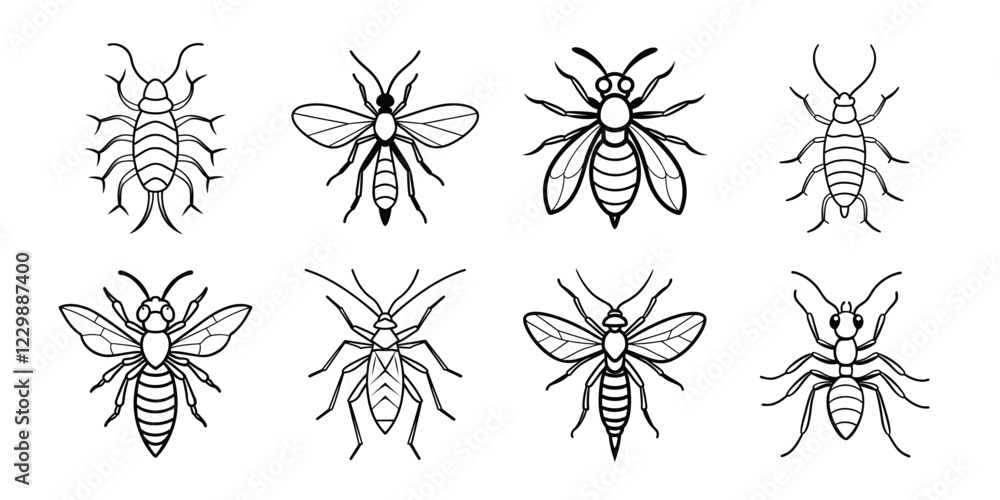 Insects liner art set. Vector illustrations poisonous insects isolated on white background Insects liner art set. Vector illustrations poisonous insects isolated on white background