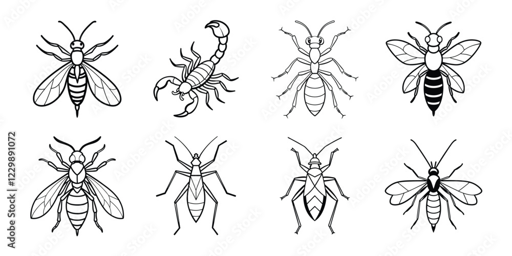 Insects liner art set. Vector illustrations poisonous insects isolated on white background Insects liner art set. Vector illustrations poisonous insects isolated on white background