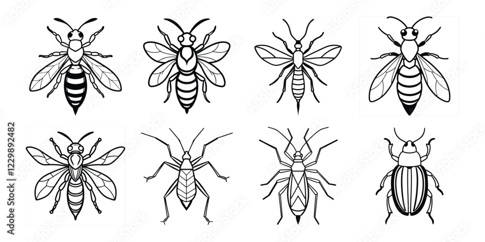 Insects liner art set. Vector illustrations poisonous insects isolated on white background Insects liner art set. Vector illustrations poisonous insects isolated on white background
