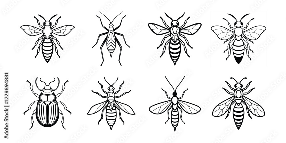 Insects liner art set. Vector illustrations poisonous insects isolated on white background Insects liner art set. Vector illustrations poisonous insects isolated on white background