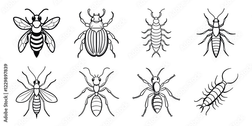 Insects liner art set. Vector illustrations poisonous insects isolated on white background Insects liner art set. Vector illustrations poisonous insects isolated on white background