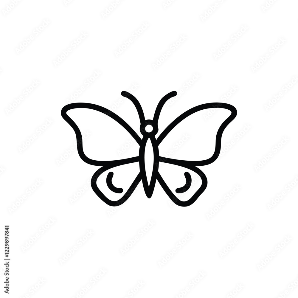 butterfly on white background butterfly on white background