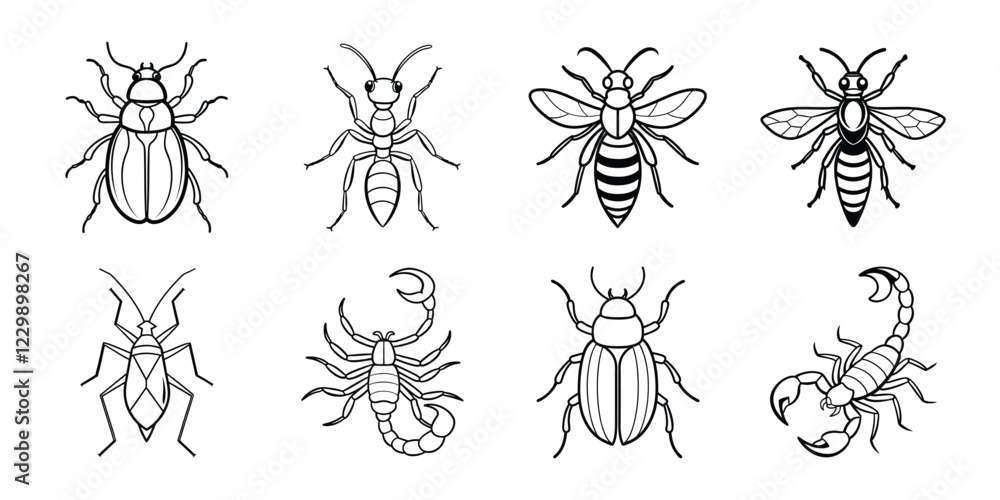 Insects liner art set. Vector illustrations poisonous insects isolated on white background Insects liner art set. Vector illustrations poisonous insects isolated on white background