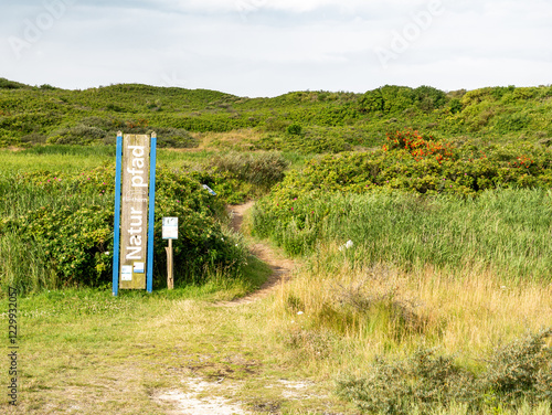 Footpath nature trail to Flinthörn platform through dunes on East Frisian island Langeoog, Lower Saxony, Germany photo