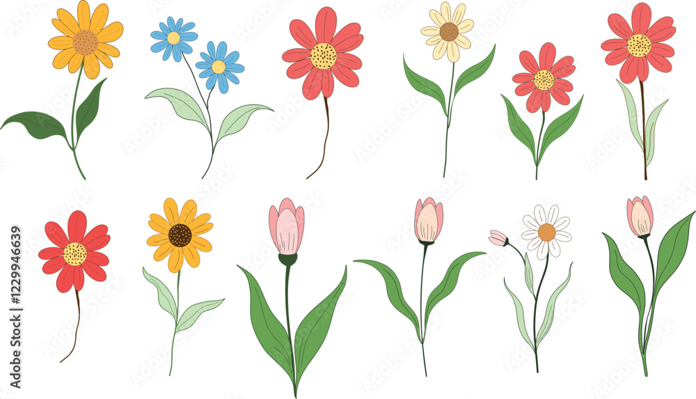 flowers set on white background. Colourful collection flowers. Spring flowers. Daisies and tulips. flowers set on white background. Colourful collection flowers. Spring flowers. Daisies and tulips.