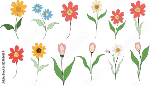 flowers set on white background. Colourful collection flowers. Spring flowers. Daisies and tulips. 