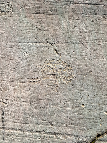 reperti storici di arte rupestre su pietra, incisione di cervo salto