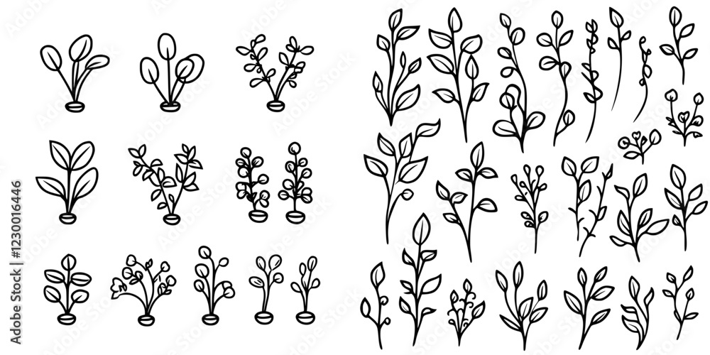 Sketches of diverse plant life in minimalistic design showcasing various shapes and sizes Sketches of diverse plant life in minimalistic design showcasing various shapes and sizes