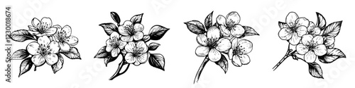 Floral sketches with intricate details showcasing various stages of bloom and foliage in a minimalist style