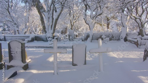 Snow covered trees in cemetery lit by sun Reykjavik Iceland
