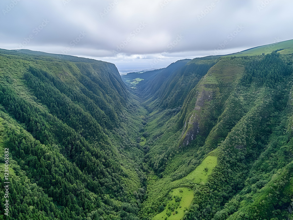 Fototapeta premium Aerial view of lush valley, island landscape