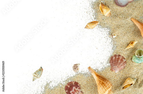 Fototapeta Naklejka Na Ścianę i Meble -  aesthetic beach sand with shells copy space
