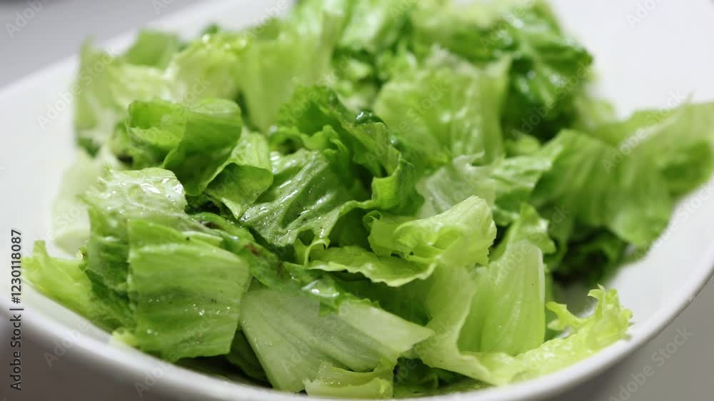 Fresh green salad with lettuce ready to serve. Close up shot. Green food background. Fresh green salad with lettuce ready to serve. Close up shot. Green food background.