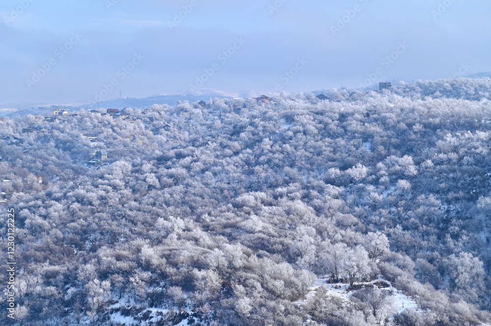Aerial View of Snowy Pine Tree Forest on Hill Aerial View of Snowy Pine Tree Forest on Hill