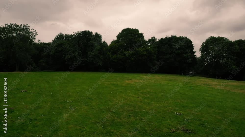 Trees in in English park wide aerial drone on cloudy day Trees in in English park wide aerial drone on cloudy day