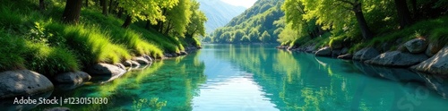 Riva sabbiosa con rami cadenti verso acqua cristallina, clear water, peaceful atmosphere, tranquility