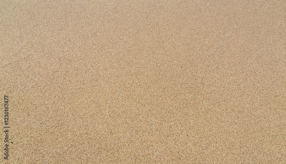 Fototapeta premium Stones and sand in the summer day. Yellow sand on the beach near a sea.