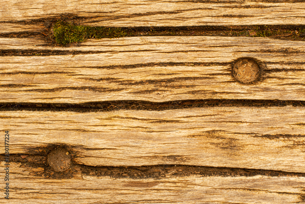 Naklejka premium Cracks and moisture moss on an old wooden plank.