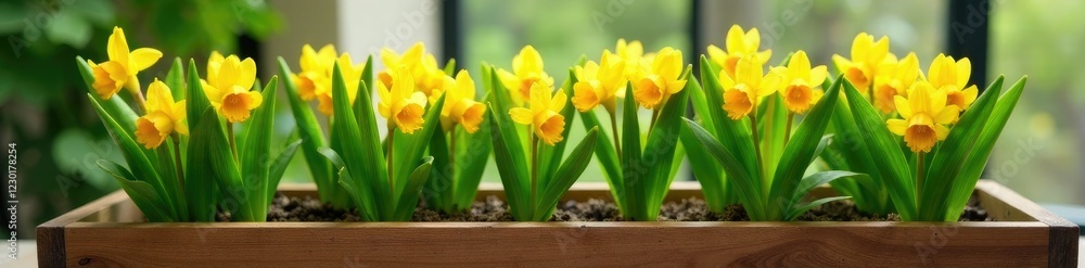 Freshly cut Freesia stems with green leaves and yellow petals, placed in a wooden planter, greenery, nature, planters Freshly cut Freesia stems with green leaves and yellow petals, placed in a wooden planter, greenery, nature, planters