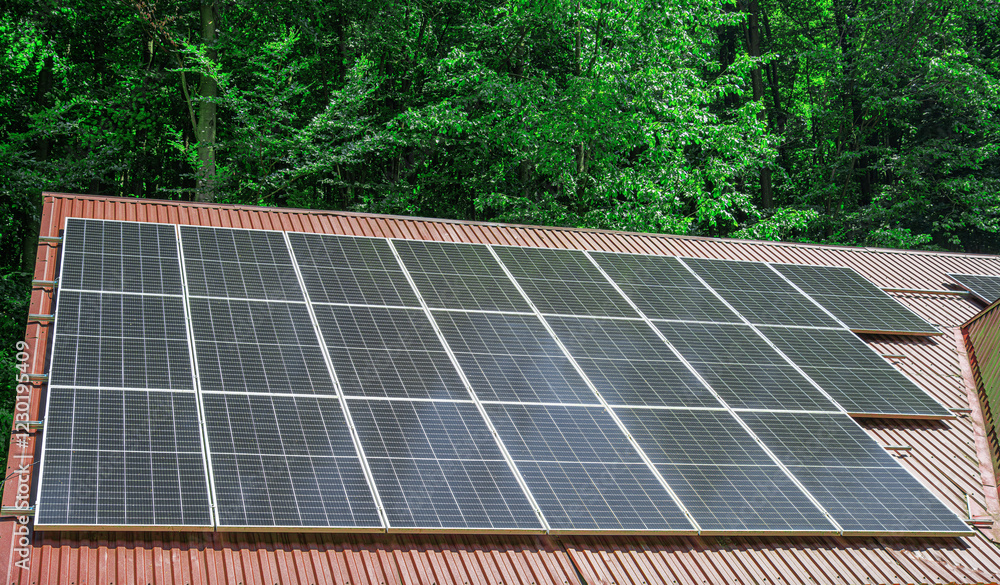 Solar panels installed on a sloped roof surrounded by lush green trees.