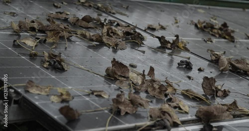 autumn leaves on photovoltaic panels