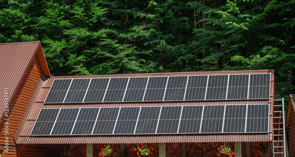 Solar panels installed on a sloped roof surrounded by lush green trees.