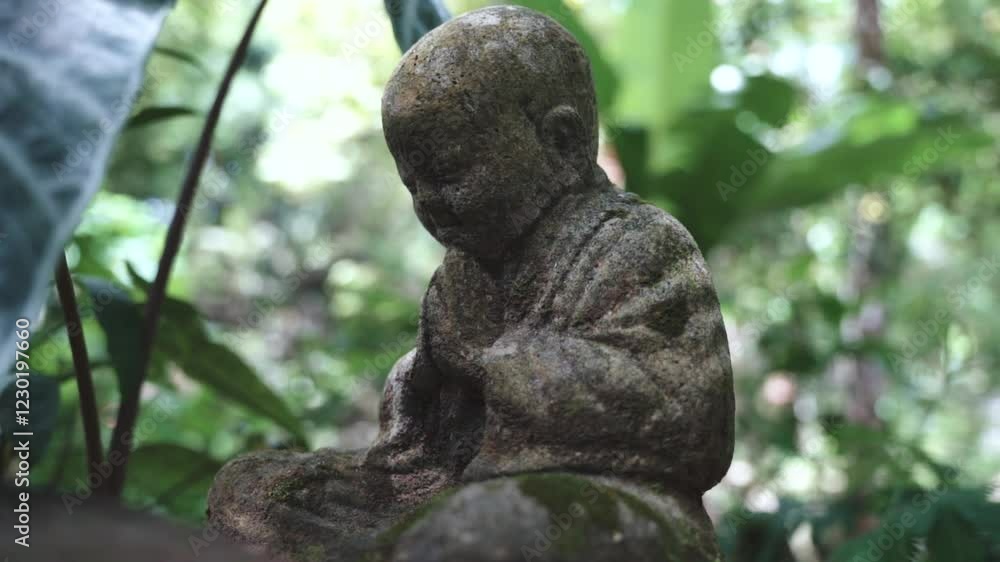 buddha statue in the forest