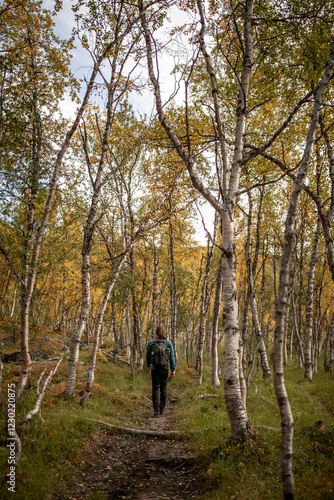 Wandern im Wald