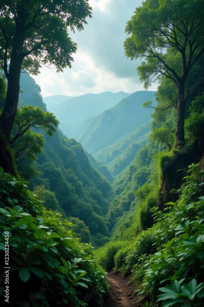 Vegetation and trees in the cloud forest of Tegueste, nature, habitat Vegetation and trees in the cloud forest of Tegueste, nature, habitat