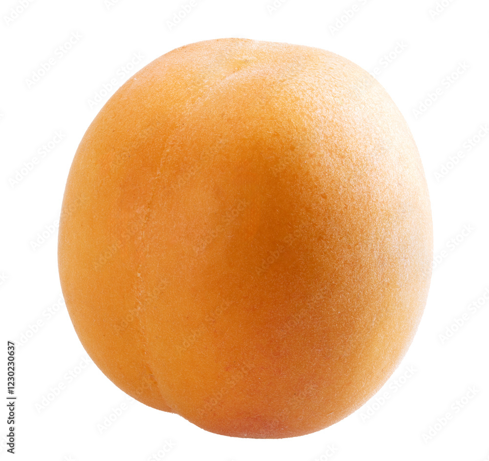Fresh apricot isolated on white background Fresh apricot isolated on white background