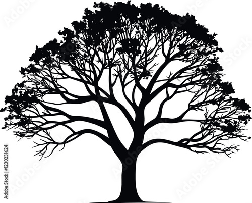 silhouette of tree