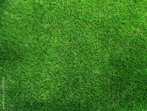 Wallpaper Mural Lush green grass covering ground, creating vibrant and fresh landscape Torontodigital.ca