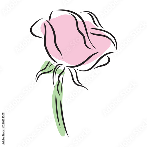 pink rose scetch on white, hand drawn isolated vector illustration, design element for poster,greeting cards, invitation,decoration,prints